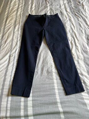 Banana Republic Dark Navy Chinos